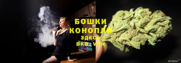 гашик Струнино