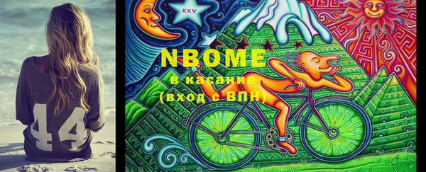гашик Струнино