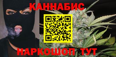 индика Тверь