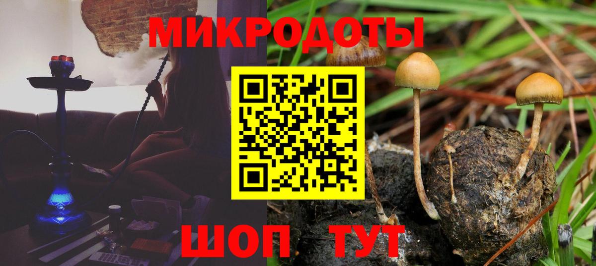 купить  цена  Галлюциногенные грибы мицелий  Вход с VPN  Псилоцибиновые грибы мицелий  Северобайкальск 