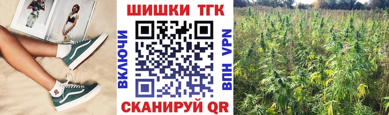 omg зеркало  как найти закладки  Северобайкальск  Шишки марихуана MAZAR 